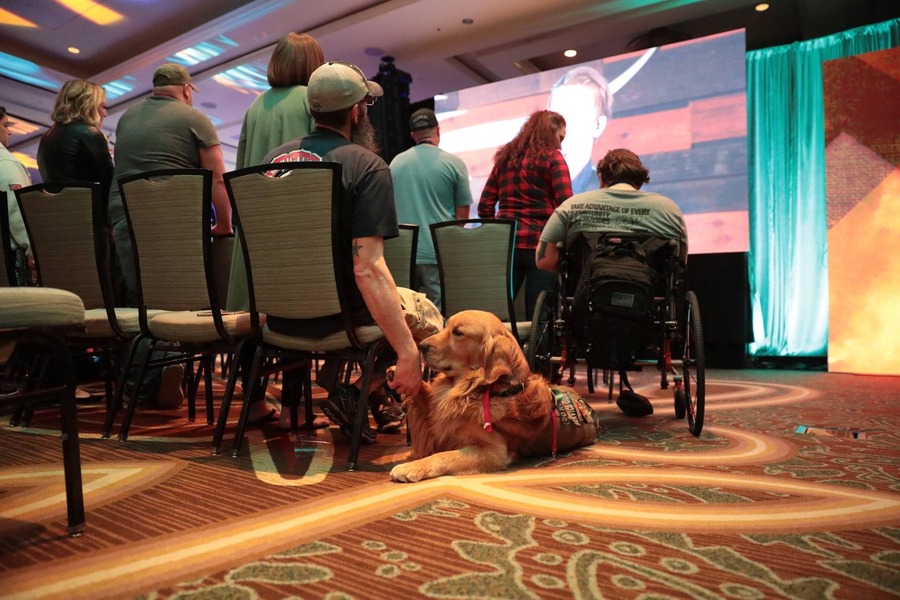 A service dog accompanying a disabled veteran in the crowd during an event.